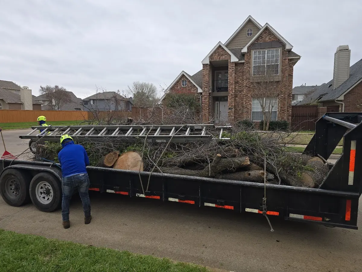Expert Crown Reduction with proper safety equipment in Lewisville